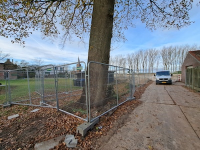 Raadslid slaat alarm: ontwikkelaar zou nu ‘dagelijks’ schade veroorzaken aan 150 jaar oude eik