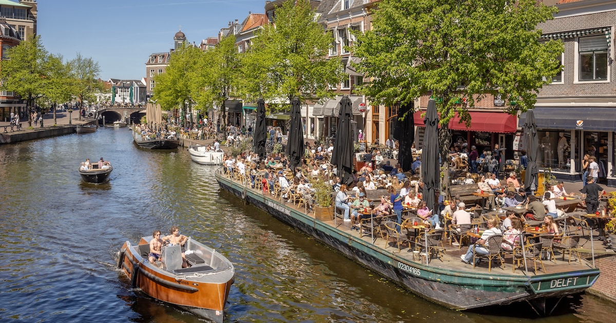 Dutch Bio Science Week in Leiden: onder andere workshops, lezingen en quizavond