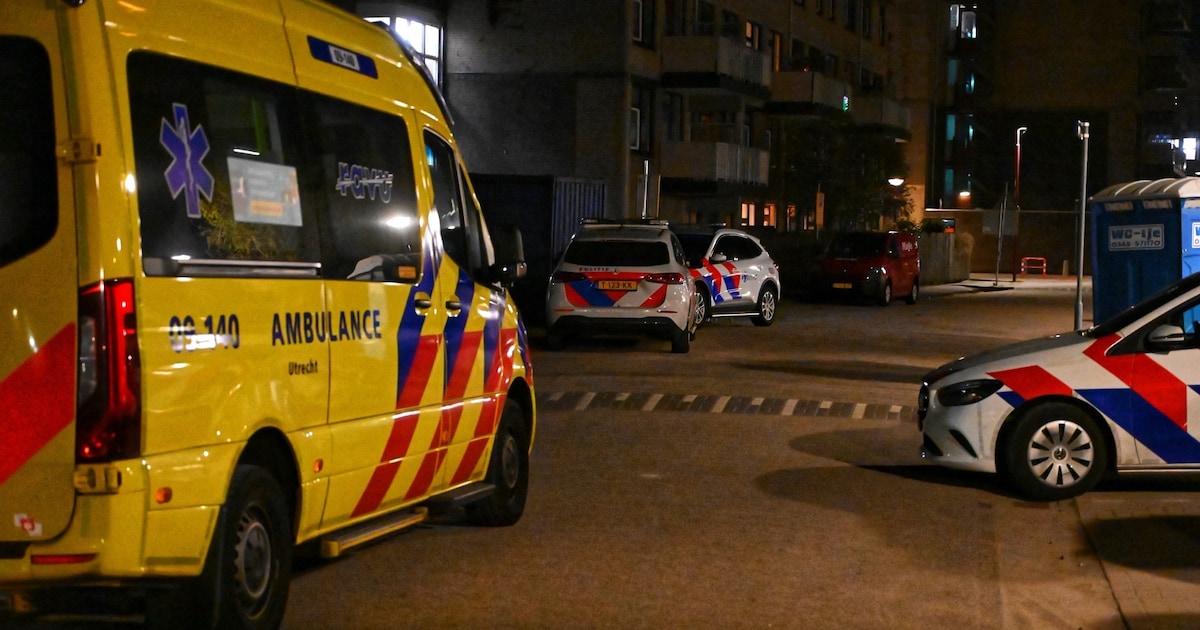 Gewonde bij mogelijk steekincident in Nieuwegein
