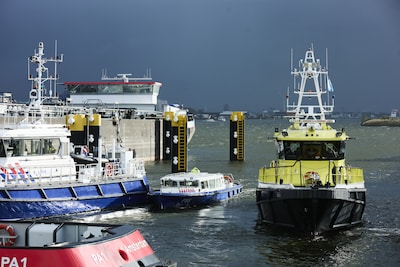 Image related to the article