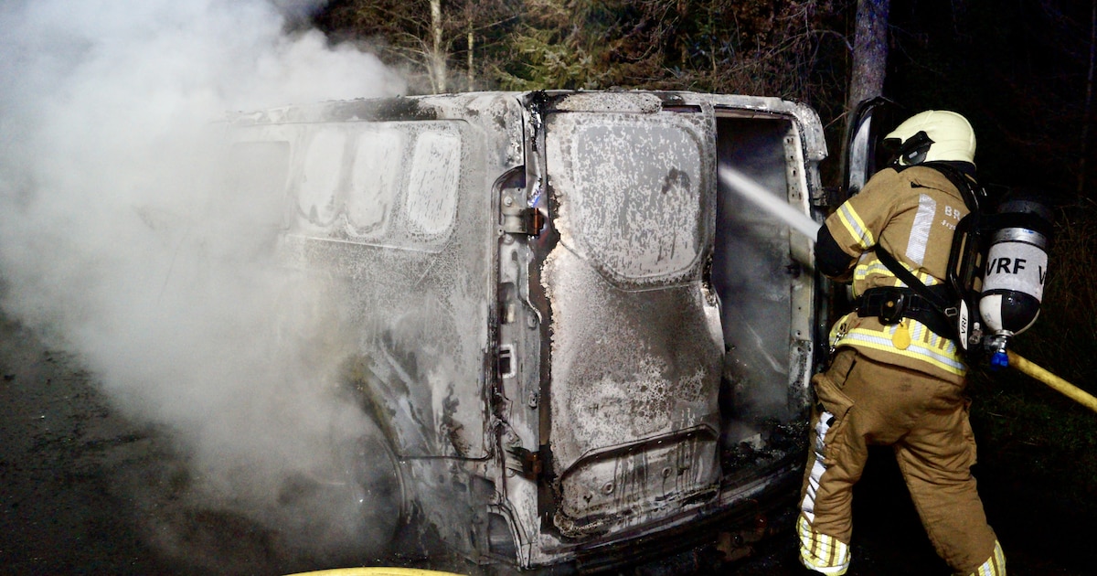 Bestelbus uitgebrand op Roazeloane in De Westereen