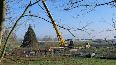 Simsalabim! Dit is er gebeurd met de eenzame boom aan de Edisonstraat