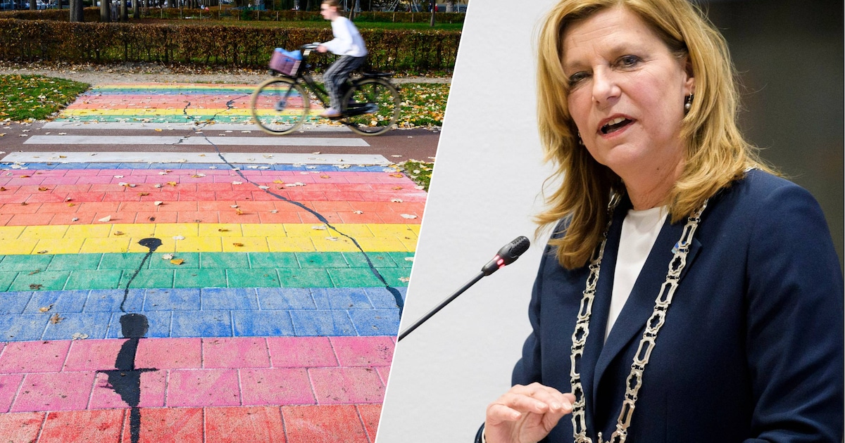 Burgemeester veroordeelt vernielingen van regenboogpad: ‘Blijven werken aan een oplossing’