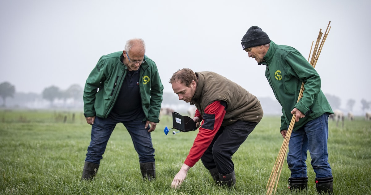 Ecologen brengen vanaf april beschermde dieren in kaart in Smallingerland