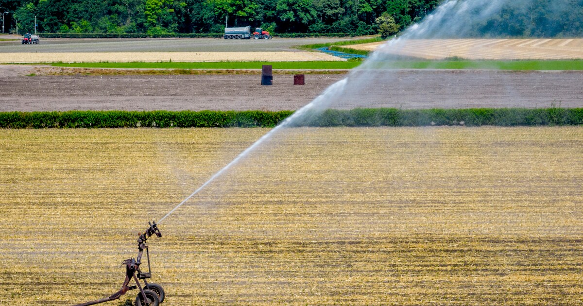 Provincie Limburg en Voerendaal starten proef met lokaal bermgras op akkers voor gezonde bodem