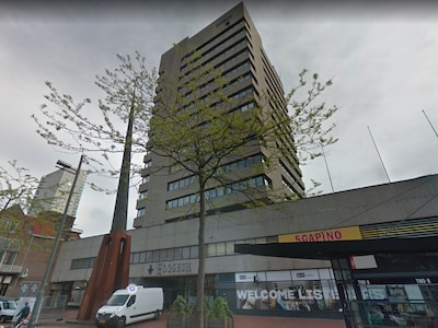 SP heeft vragen bij oproep gemeente: Eindhovenaren konden maar één week meedenken over Krabbendampad