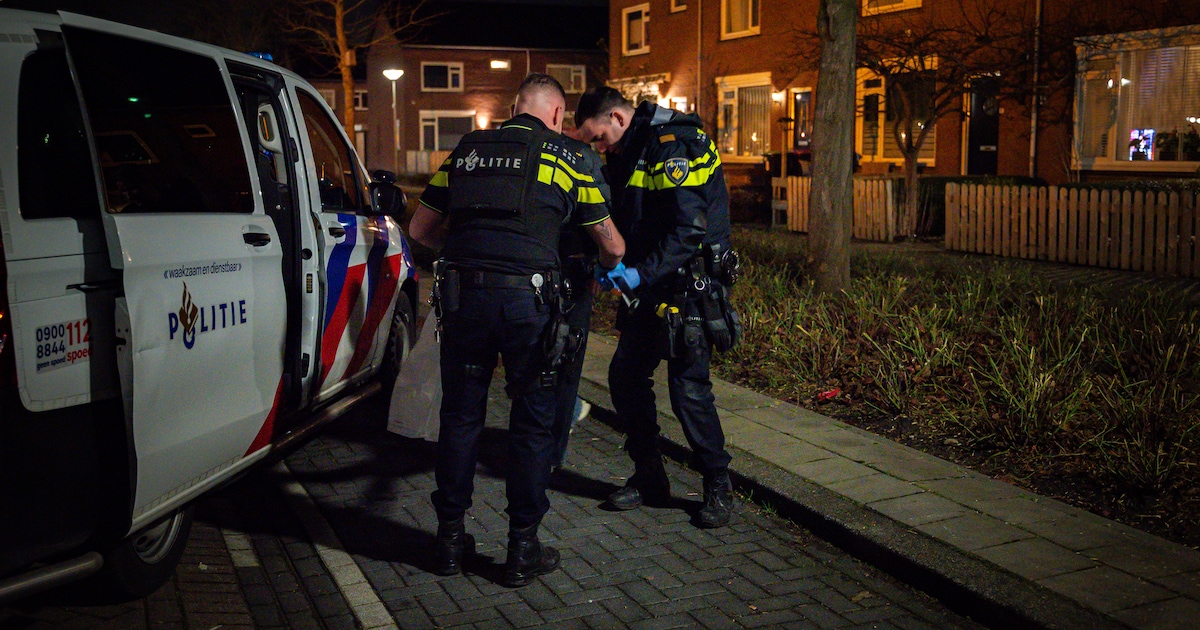 Verzameling nepwapens komt naar boven na steekpartij, verdachte aangehouden