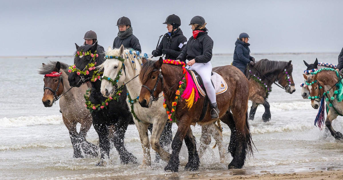 Straô Renesse vindt plaats op 14 februari