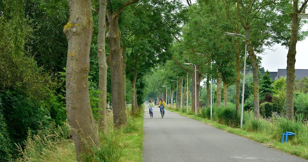 Definitief groen licht voor tien dure koopwoningen in hofje ...