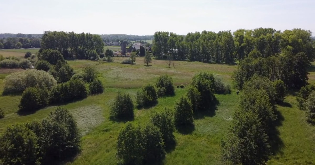 Gratis natuurwandeling rond Geldrop voert langs Dommel en oude molens