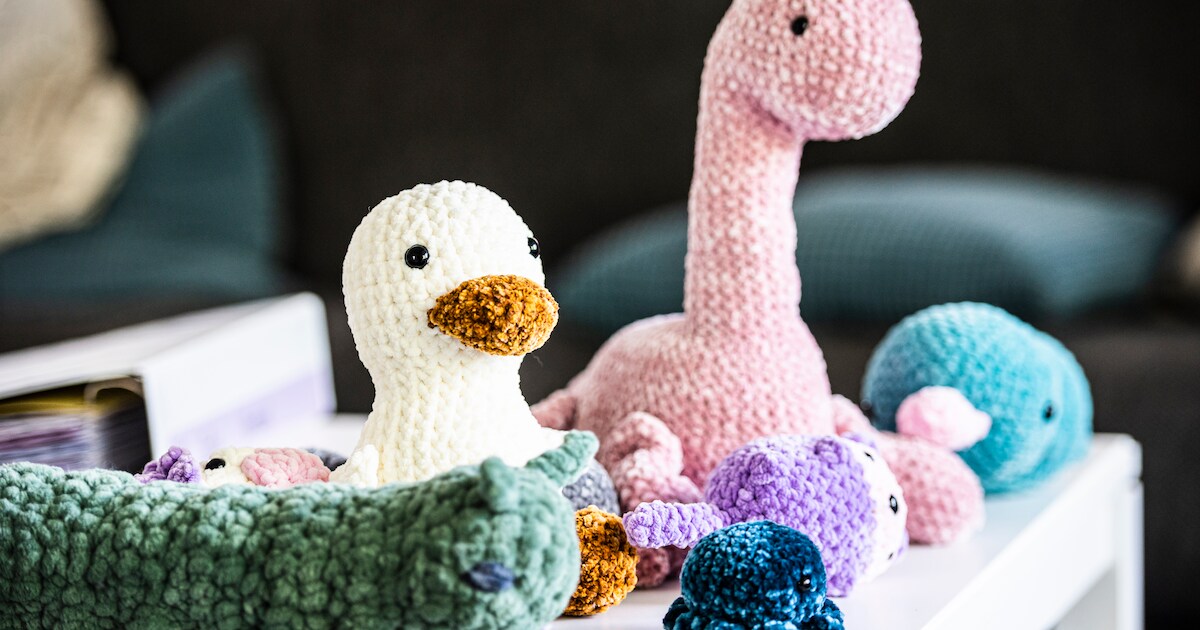 Workshop dierenwereld bouwen in Nieuw-Buinen