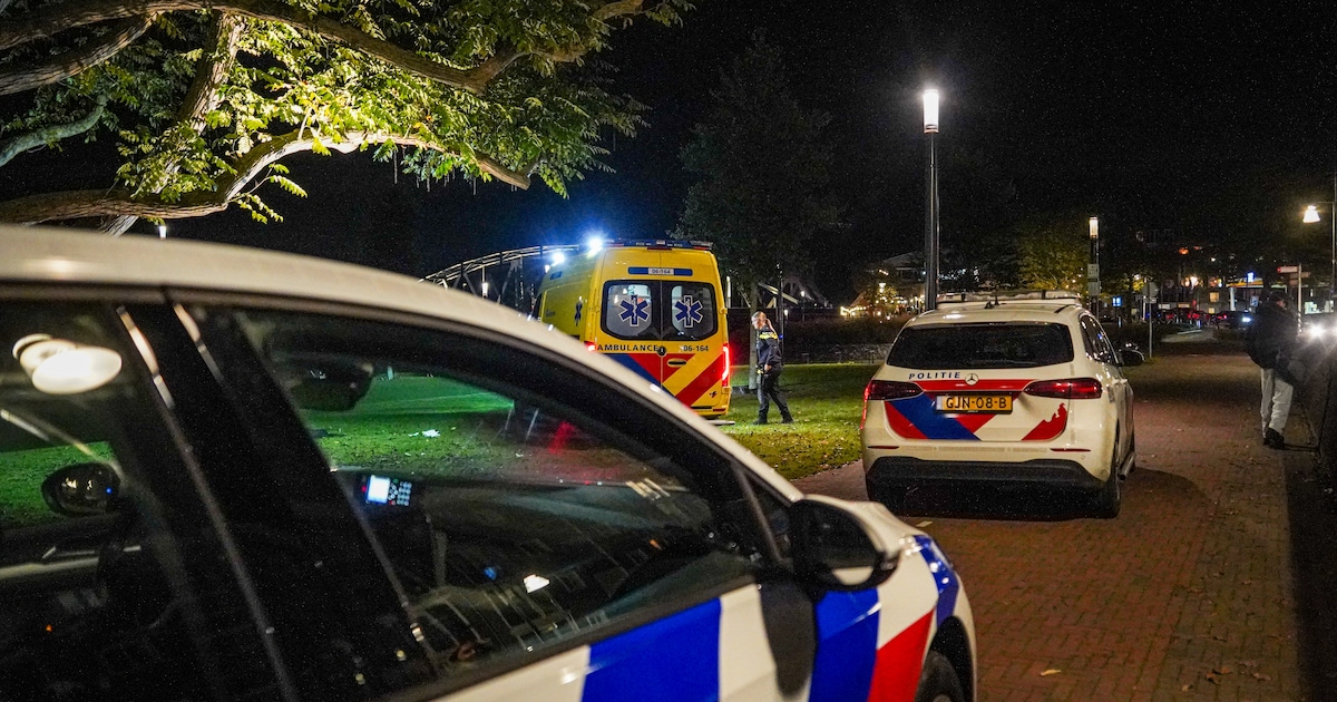 Minderjarige jongen rent weg van groep bij station Zutphen, maar wordt achtervolgd en neergestoken