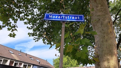 Eigenaren van hond die 11-jarige jongen in het gezicht beet, staan voor een raadsel en leven mee met slachtoffer