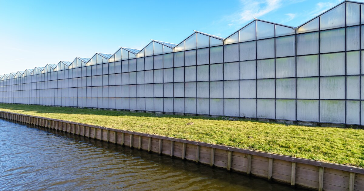 Doorstart glastuinbouwer Hartman Sexbierum: Best Fresh Group is koper | Friesland