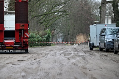 Kalkoenhouder overschrijdt vergunning met 7000 dieren: provincie moet nu ingrijpen, vinden PvdA en G
