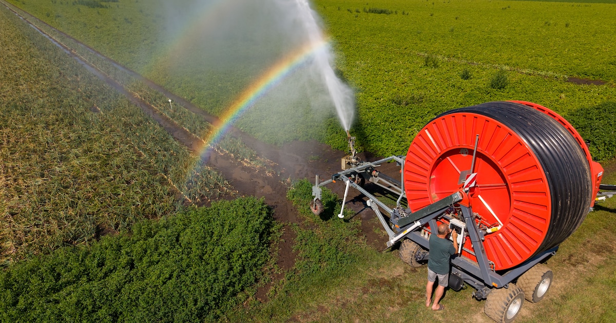 Diemen acteert op droogte en stelt sproeiverbod in voor oppervlaktewater