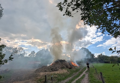 Image related to the article