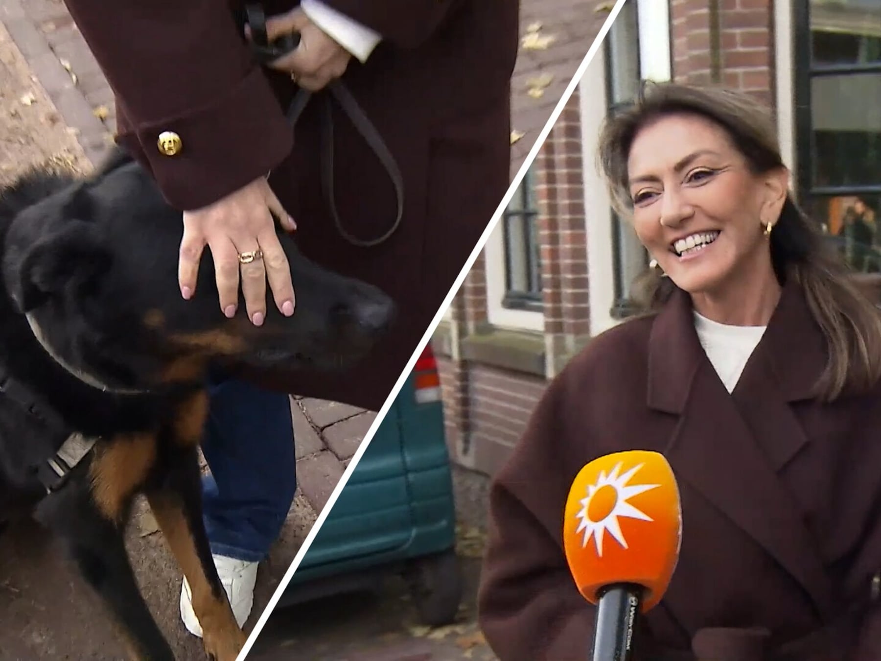 Hond van Yesilgöz hapt naar microfoon van RTL Boulevard