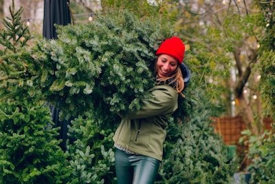 Oh dennenboom! Zo kun je nu alvast een kerstboom bestellen in Delft