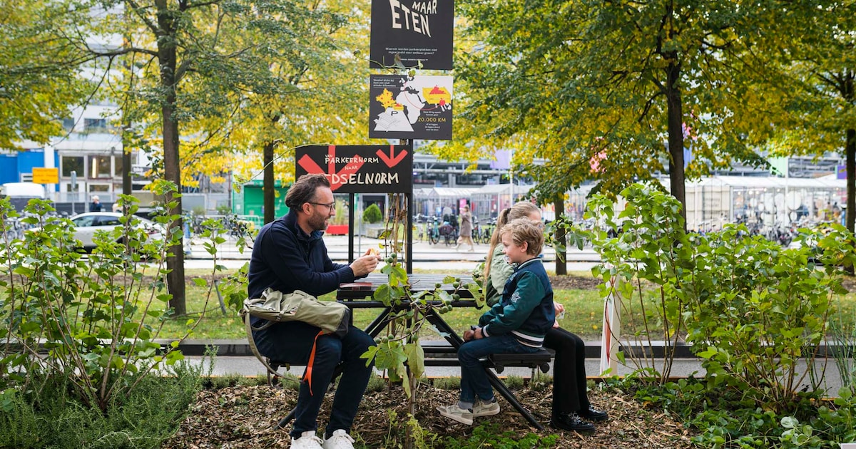 Soil Lab te zien tijdens Dutch Design Week in Eindhoven | Regio | AD.nl