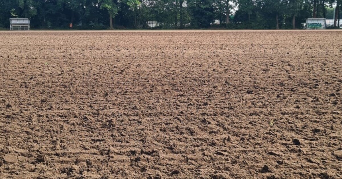 Minder velden beschikbaar bij HSV De Zuidvogels door verbouwing | Huizen
