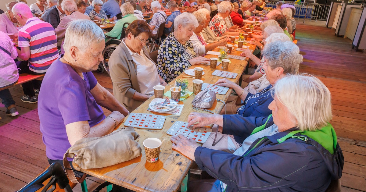 Cyberbingo voor senioren in Hardinxveld-Giessendam