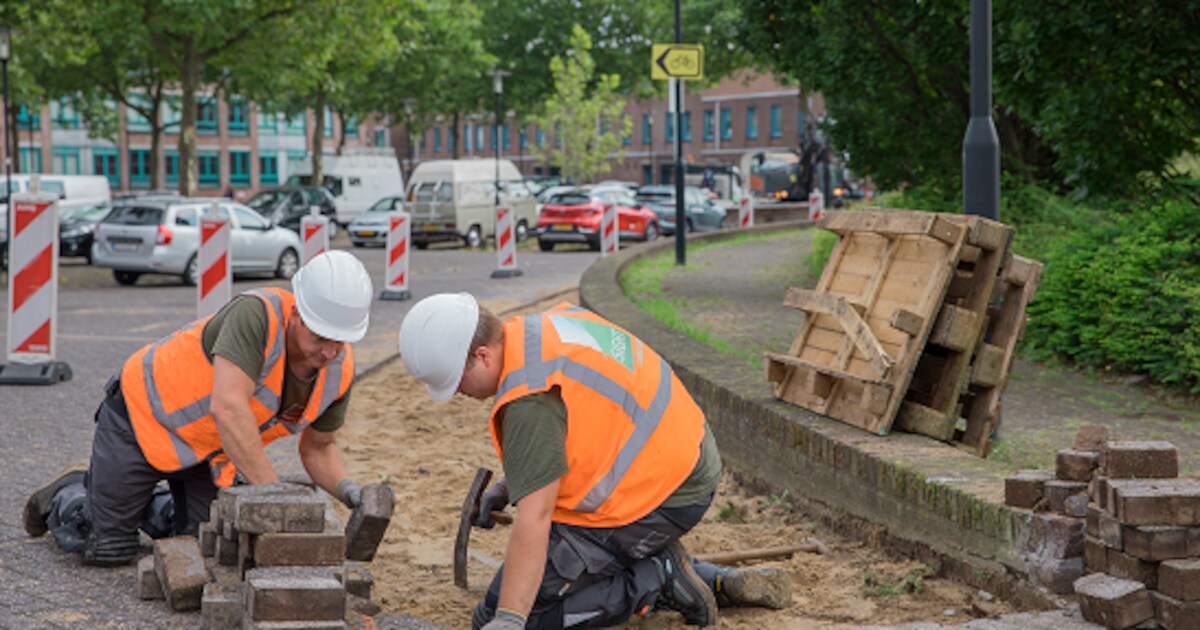 Drie nieuwe wijken aan de beurt voor Operatie Steenbreek: tegels maken plaats voor groen