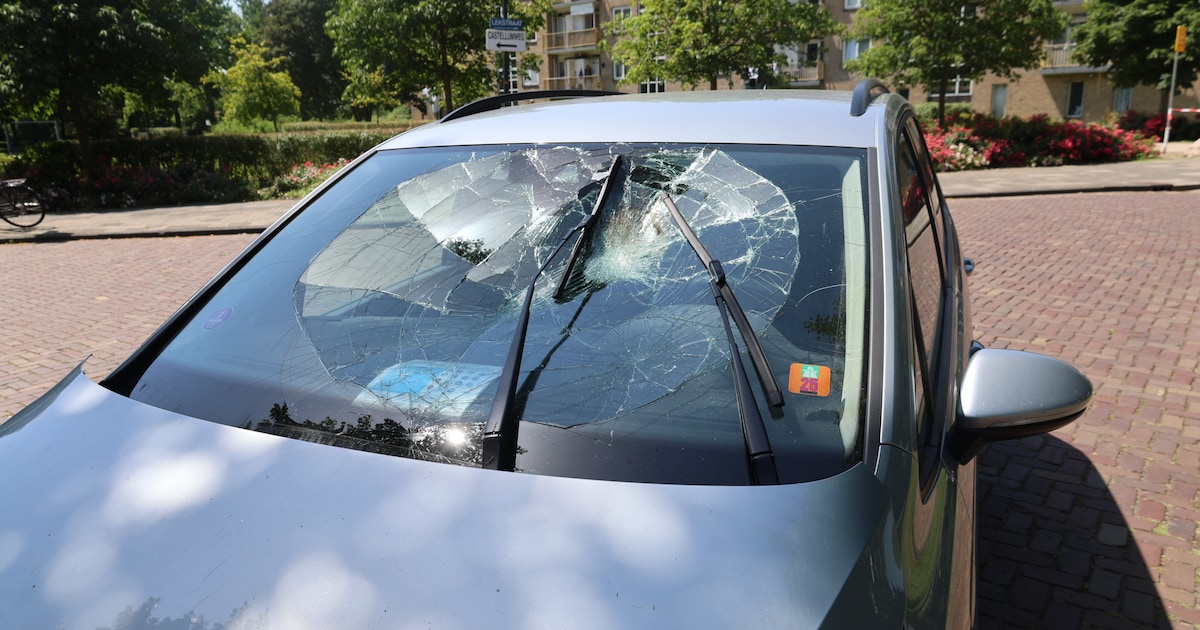 Botsing tussen auto en fiets op Hoge Rijndijk in Leiden