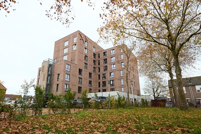 Image related to the article