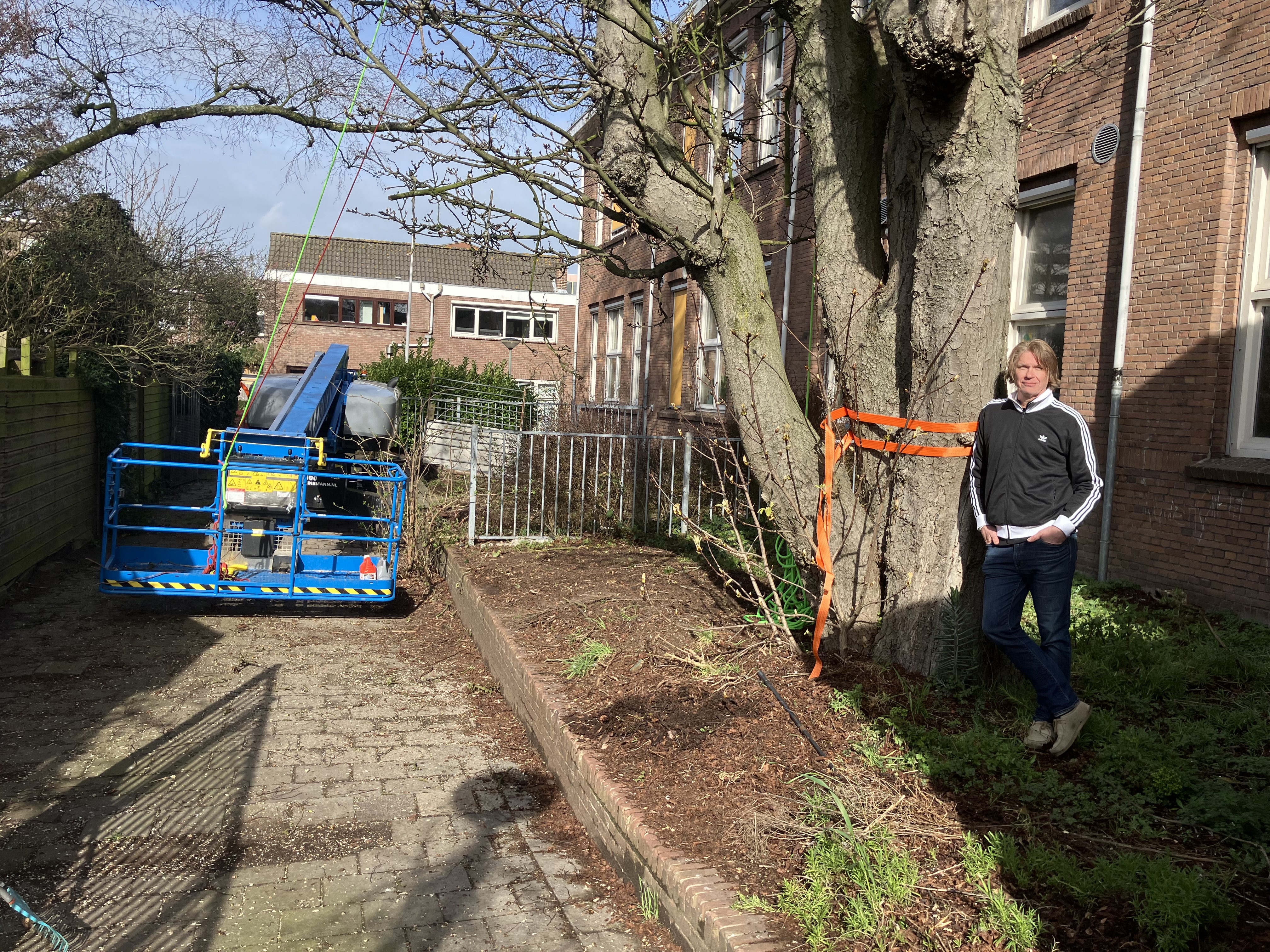 Kap van kastanjeboom zorgt voor ophef in de Oostsingel: ‘Niemand wist er iets van’