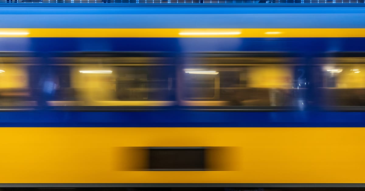 Geen treinen tussen Hoogeveen en Beilen door dier op het spoor