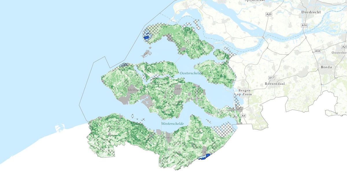 Waterschap Scheldestromen maakt kaart voor kansen met zoet grondwater in Zeeland