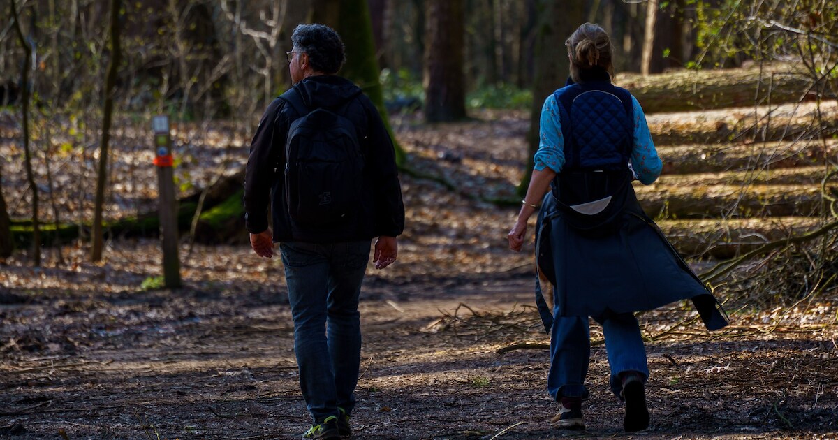 Wekelijkse wandeling vanuit de bibliotheek in Staphorst