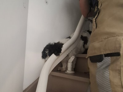 Hond komt vast te zitten tussen traplift en muur in Schoonhoven, brandweer moet in actie komen