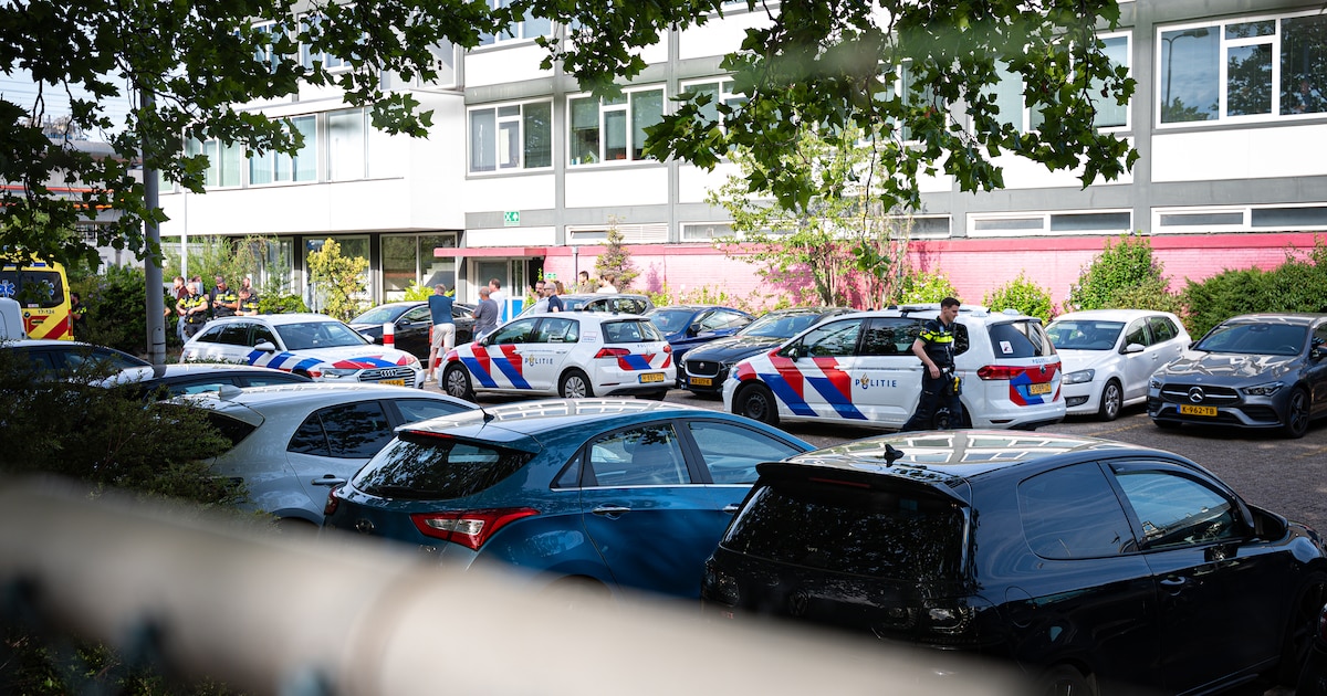 Vrouw (55) ernstig gewond na steekpartij op bedrijventerrein in haven, man (51) opgepakt
