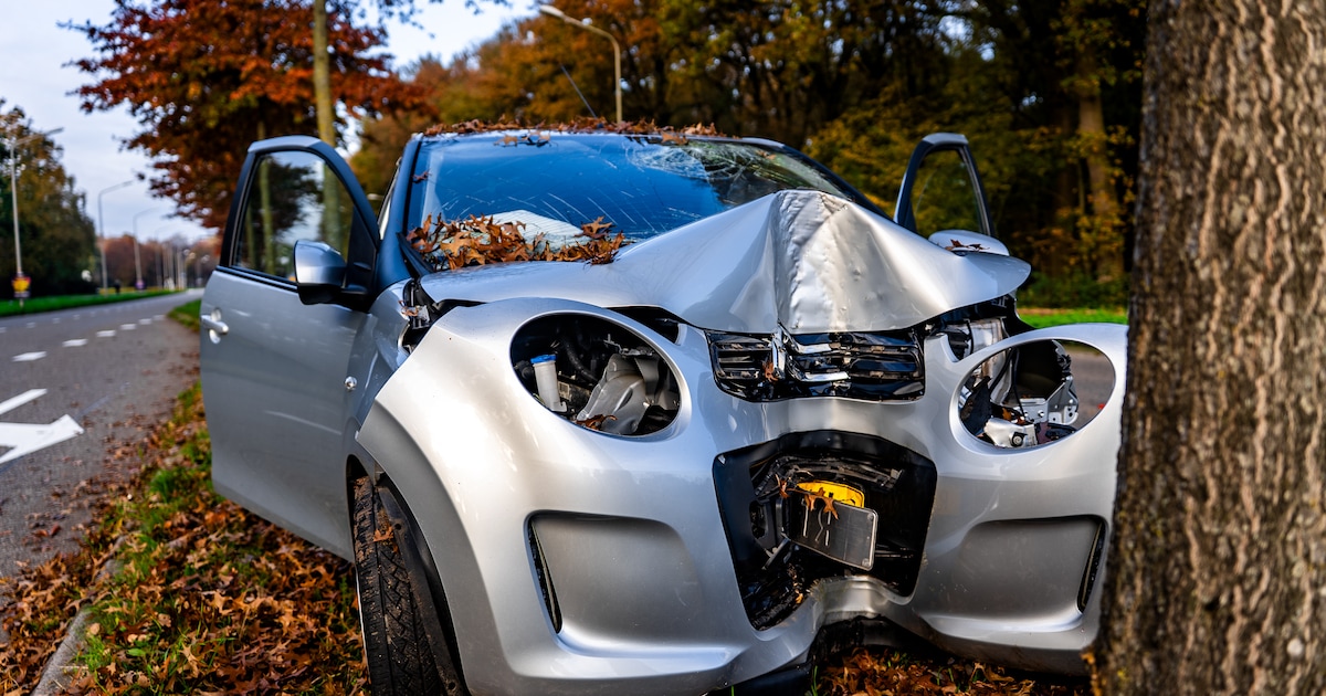 Automobilist ramt boom op middenberm in Nijmegen