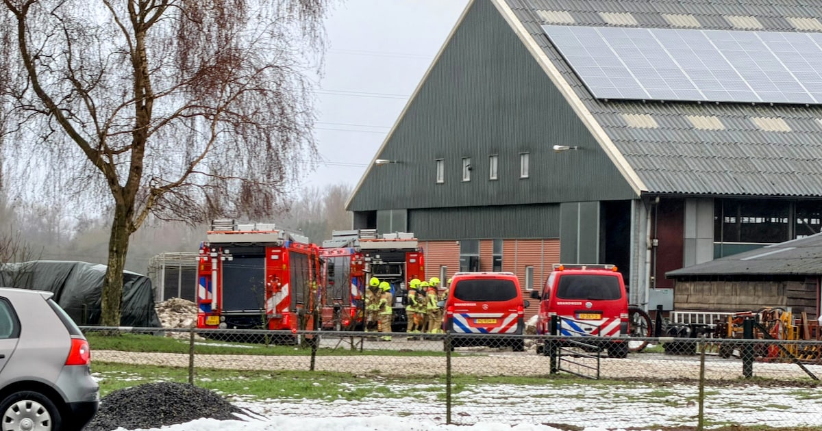 Brand in mestopslag bij boerderij in Kapel Avezaath