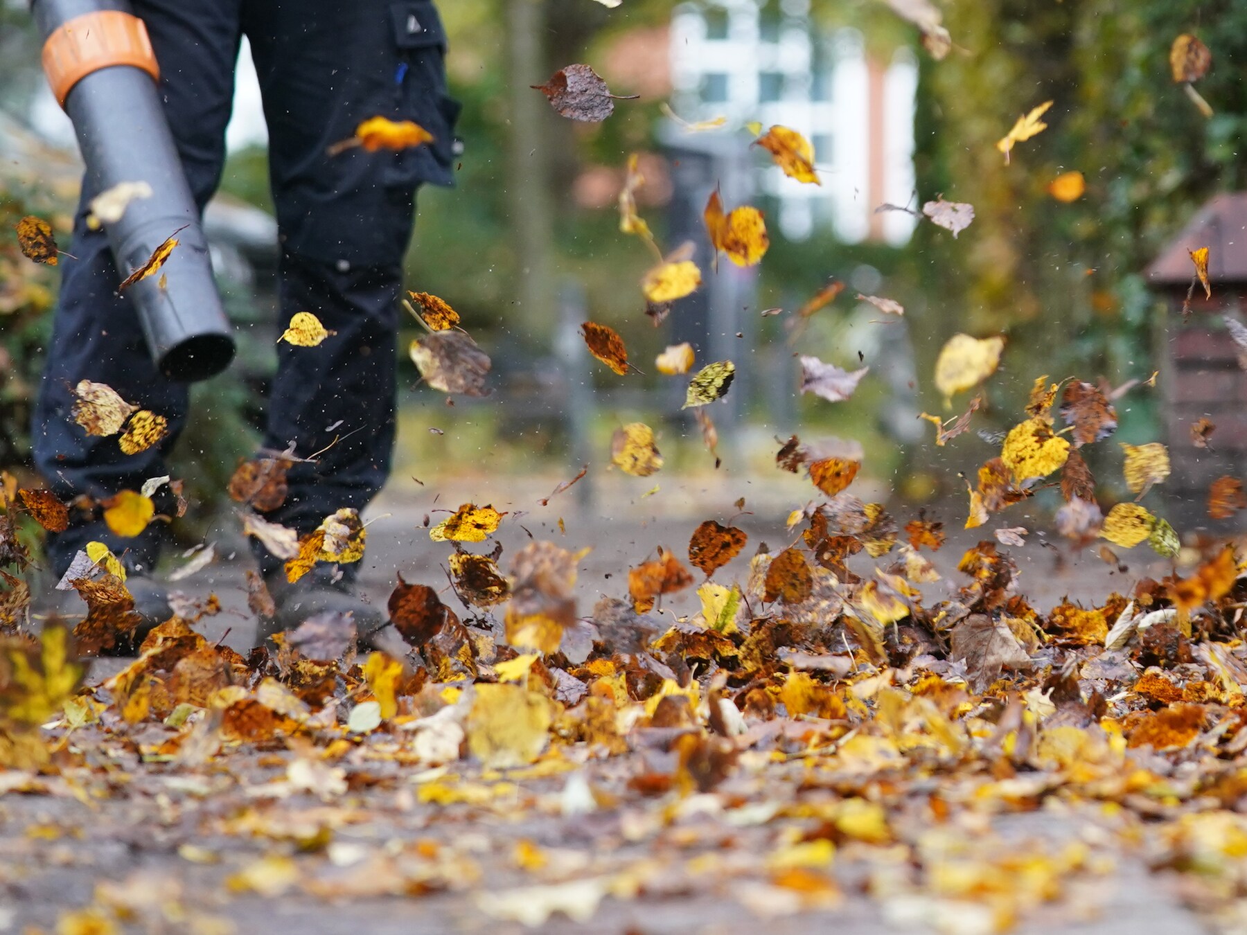 Zürich doet wat Nederland en EU tot nu toe niet willen: de bladblazer verbieden