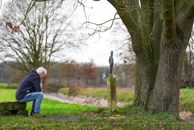 Image related to the article