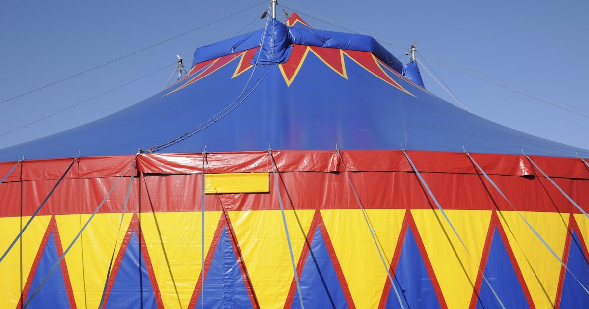 Funtime MiniDisco brengt circusthema naar Someren