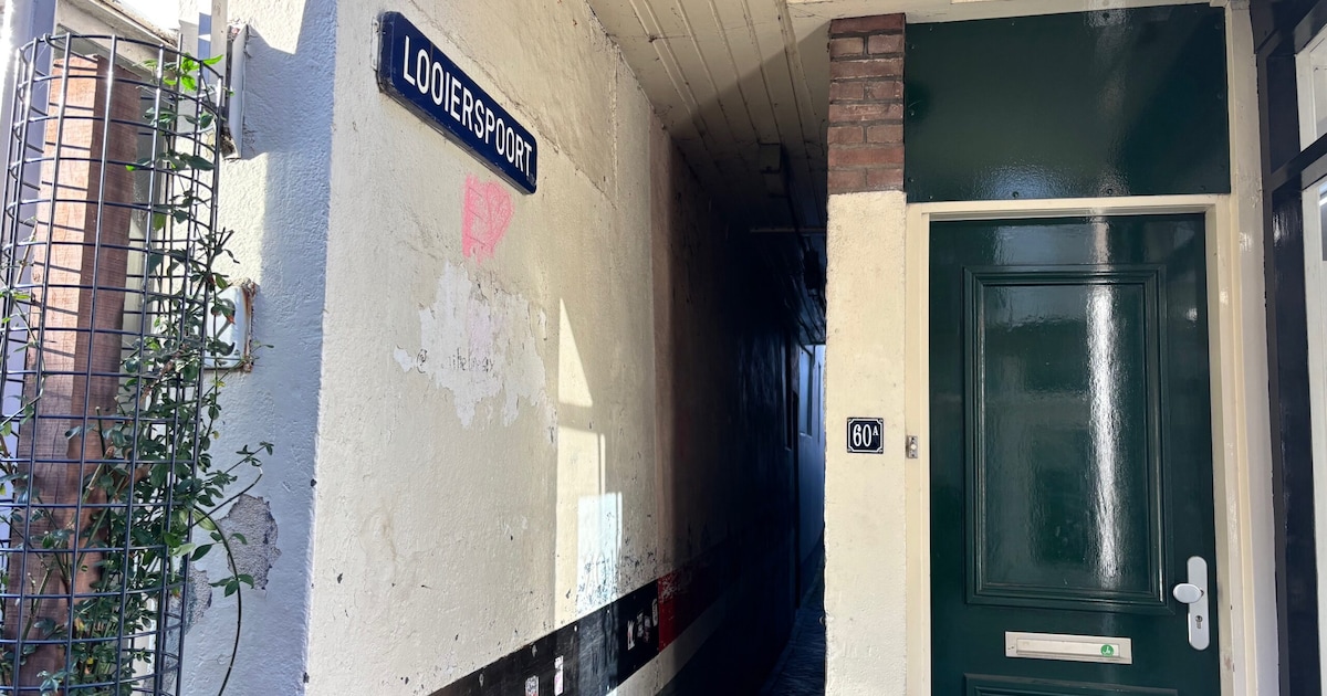 De Looierspoort zit verstopt in de Goudse binnenstad: dit vind je in het straatje