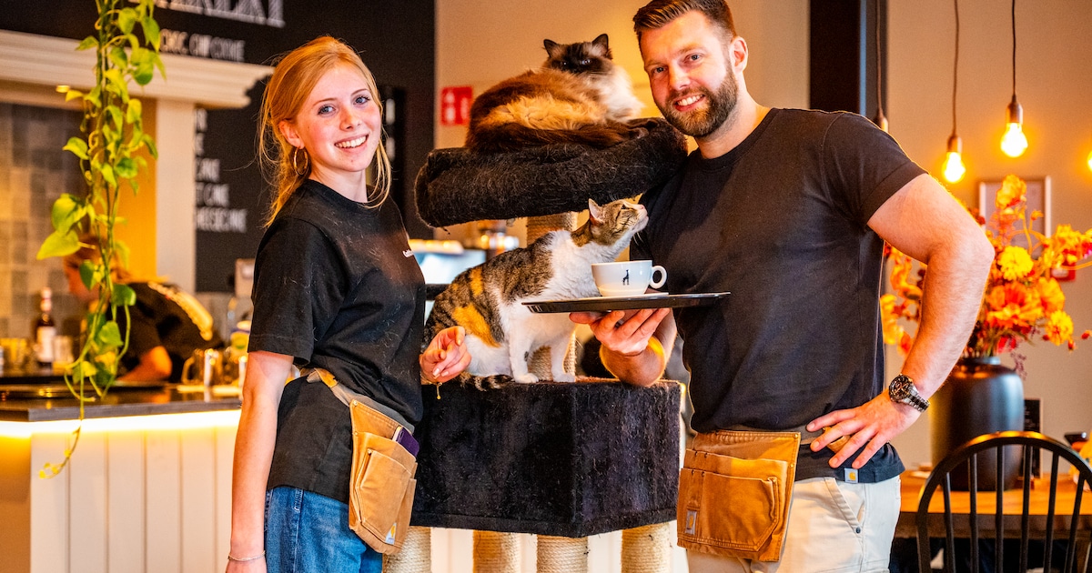 Kattencafé Cattuccino ervaart amper overlast van kinderen, terwijl volwassenen soms juist lastig zij