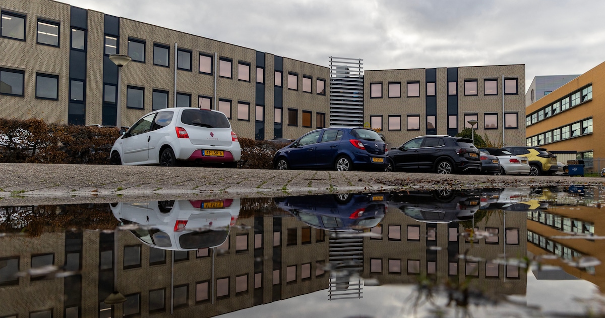 Schimmel en onkruid, huurders uiten ongenoegen bij WoonWest: ‘Moeten we verhuizen, vragen mijn kinde