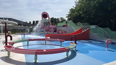 Image related to the article