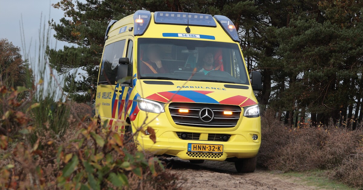 Ruiter gewond na val van paard op de Westerheide bij Laren