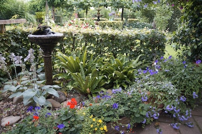 Tuin de Zumpe opent tuinseizoen met open tuindagen in Doetinchem