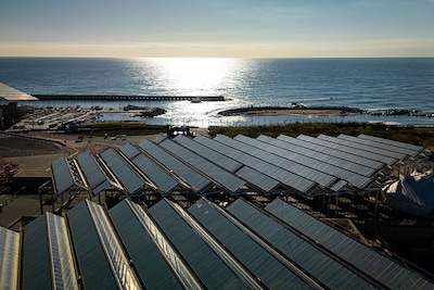 Think tank report: solar energy provides quarter of EU electricity for the first time