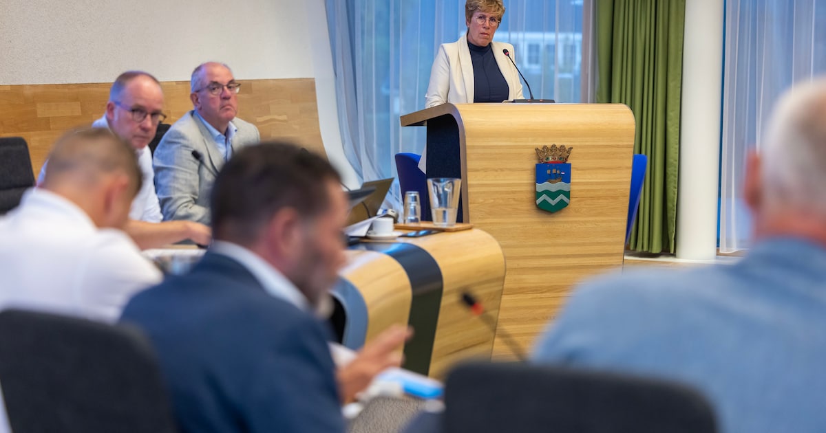 Gemiddeld raadslid Midden-Delfland diende afgelopen jaren vier moties in, deze partij was het meest 