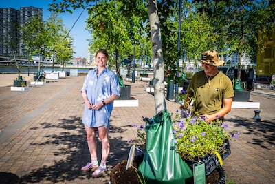 Bewoners maken van gekaapt stukje Noordereiland een fijne plek: ‘Dit uitzicht is niet alleen van ons