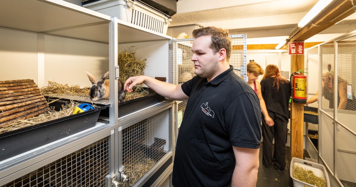 Het Konijnenparadijs moet op zoek naar een nieuwe plek, en de nood is hoog